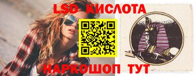 крисы Кулебаки