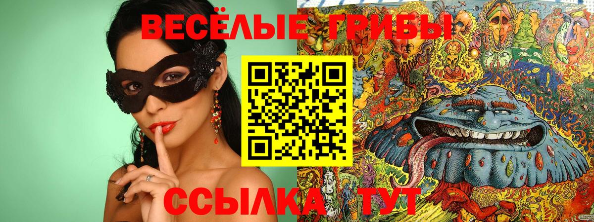Галлюциногенные грибы прущие грибы Гусь-Хрустальный