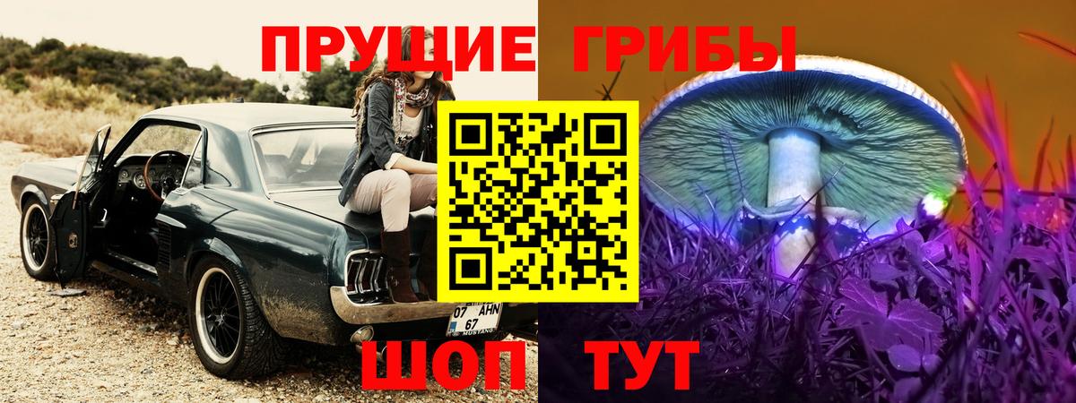Псилоцибиновые грибы MAGIC MUSHROOMS  Псилоцибиновые грибы ЛСД  Гусь-Хрустальный  Вход с VPN 